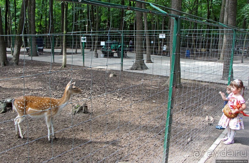 Восторг детей на радость взрослых