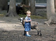 Восторг детей на радость взрослых