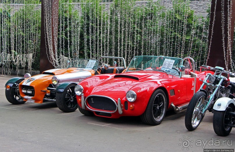 Восторг детей на радость взрослых