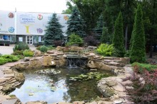 Восторг детей на радость взрослых