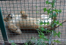 Восторг детей на радость взрослых