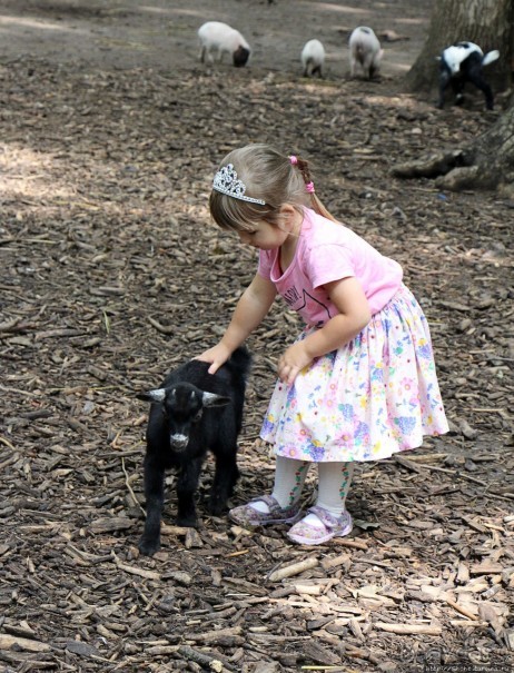 Восторг детей на радость взрослых