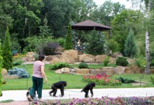 Восторг детей на радость взрослых