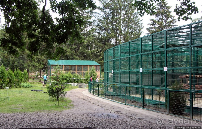 Восторг детей на радость взрослых