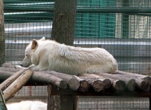 Восторг детей на радость взрослых