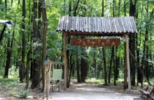 Восторг детей на радость взрослых