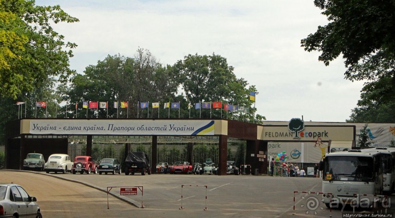 Восторг детей на радость взрослых