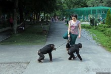 Восторг детей на радость взрослых