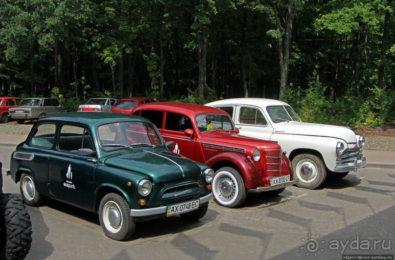 Восторг детей на радость взрослых