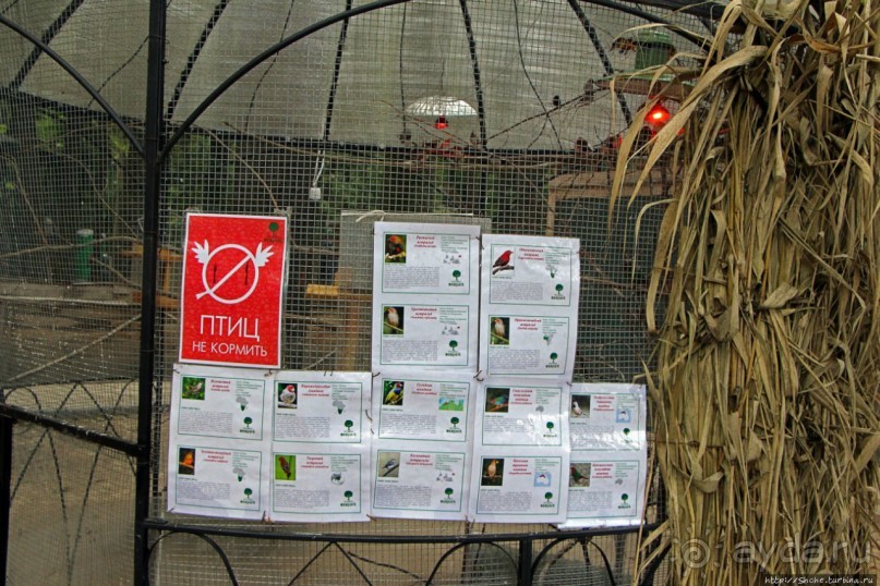 Восторг детей на радость взрослых