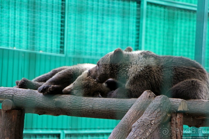 Восторг детей на радость взрослых
