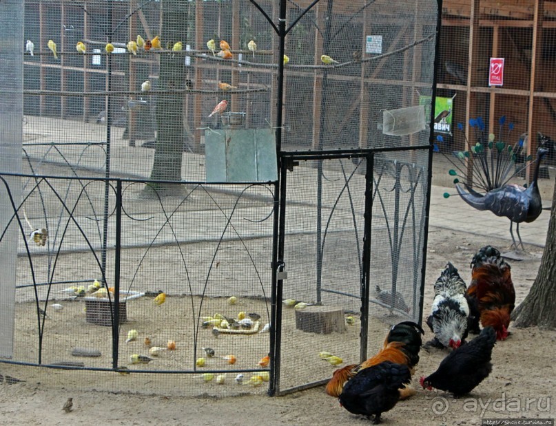 Восторг детей на радость взрослых