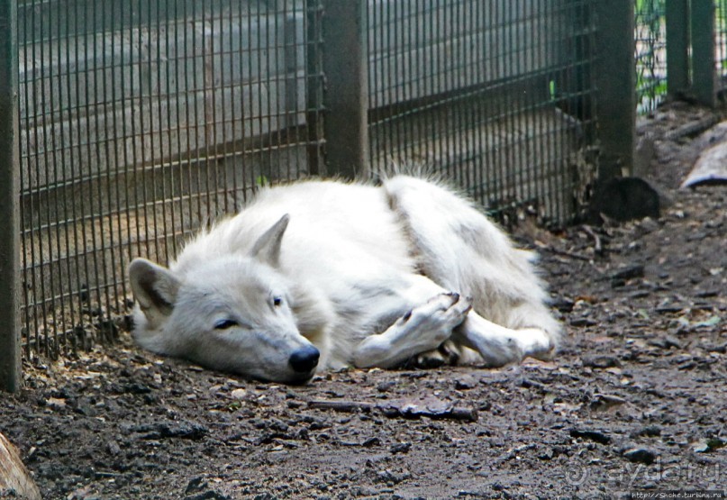 Восторг детей на радость взрослых