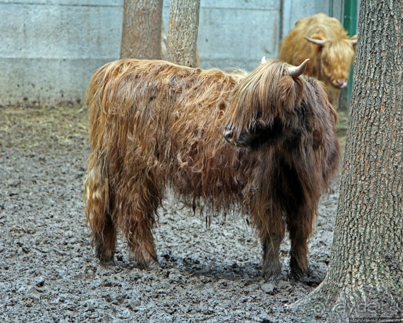 Восторг детей на радость взрослых