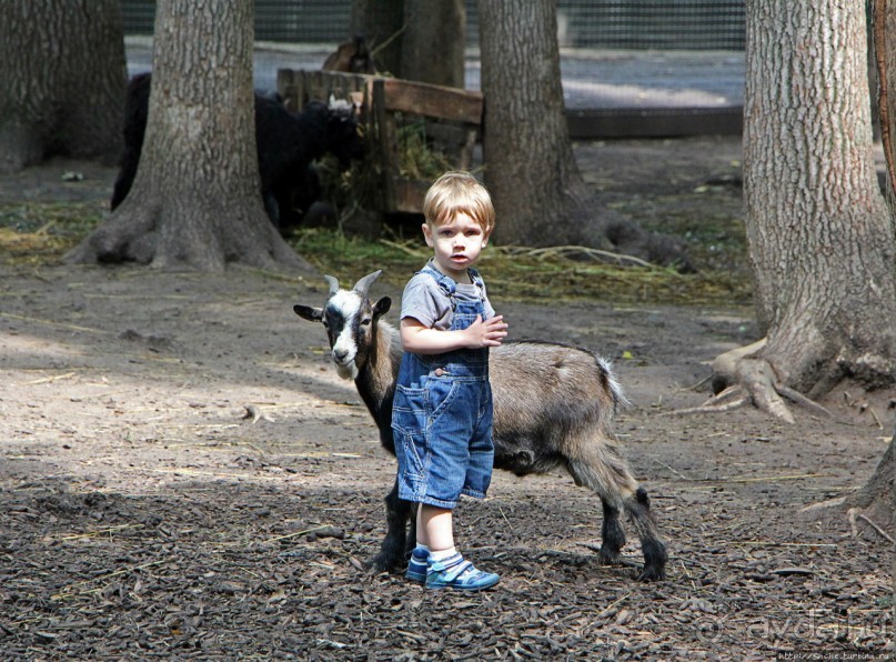 Восторг детей на радость взрослых