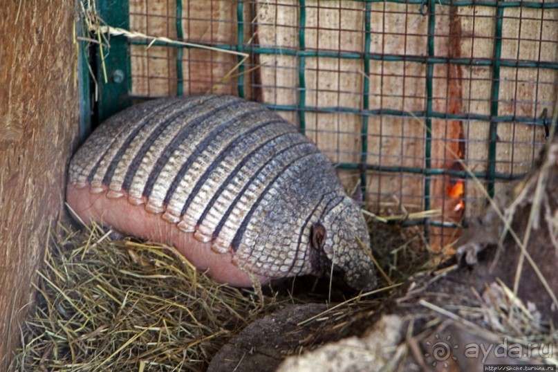 Восторг детей на радость взрослых