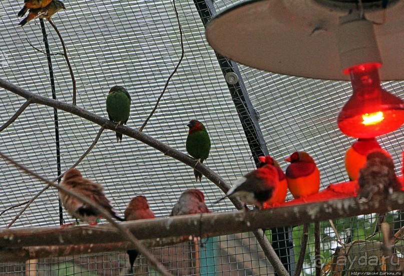 Восторг детей на радость взрослых