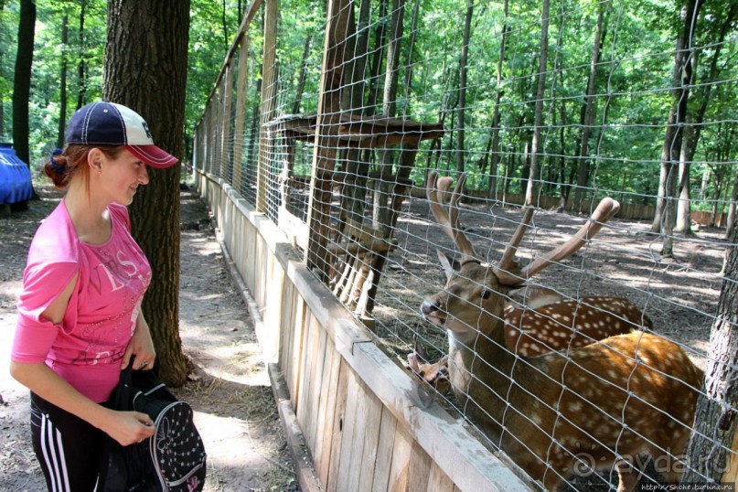 Восторг детей на радость взрослых