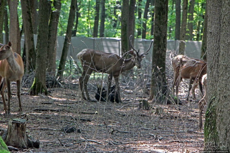 Восторг детей на радость взрослых
