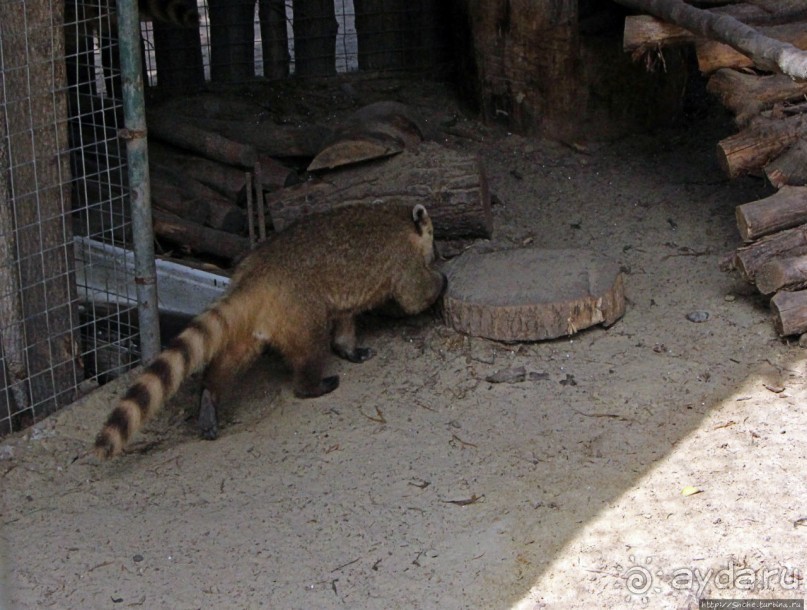 Восторг детей на радость взрослых