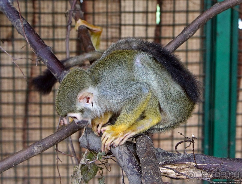 Восторг детей на радость взрослых