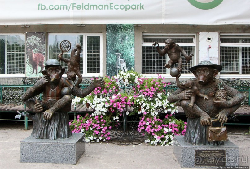 Восторг детей на радость взрослых