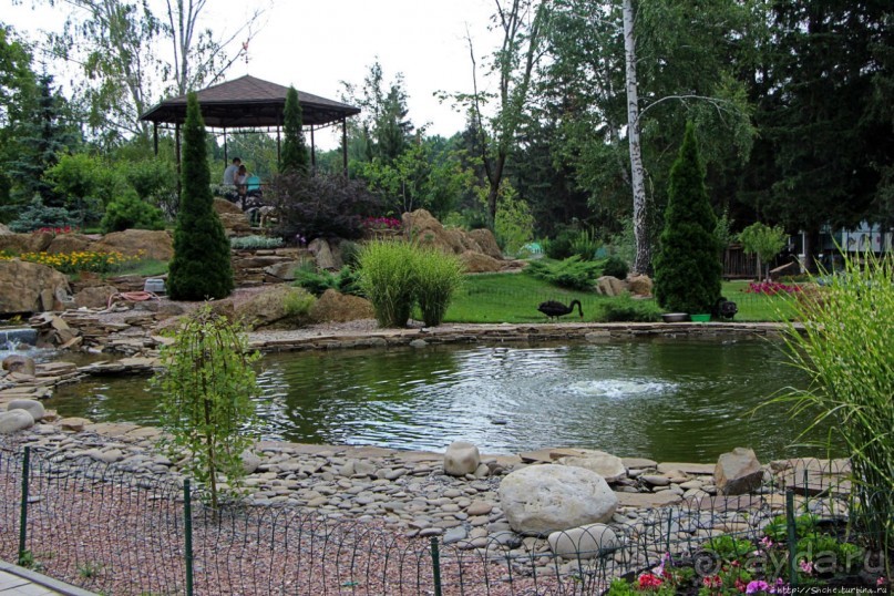 Восторг детей на радость взрослых