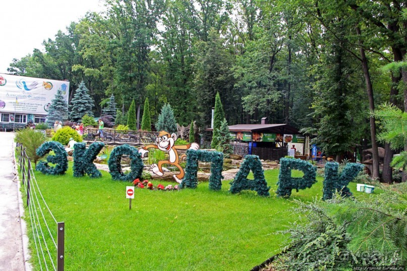 Восторг детей на радость взрослых