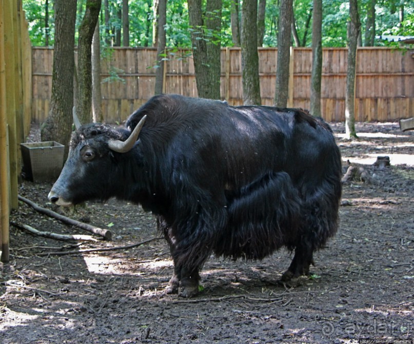 Восторг детей на радость взрослых