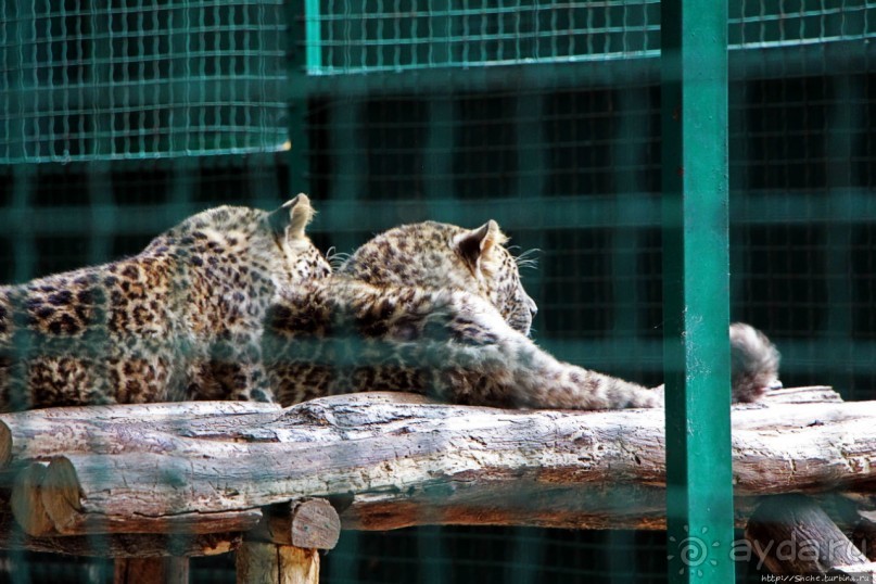 Восторг детей на радость взрослых