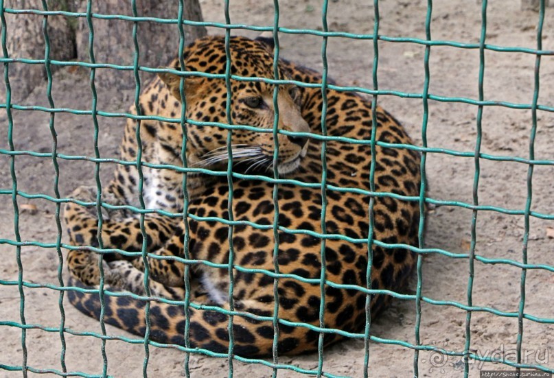 Восторг детей на радость взрослых