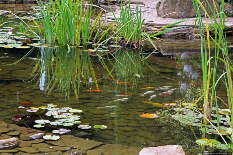 Восторг детей на радость взрослых