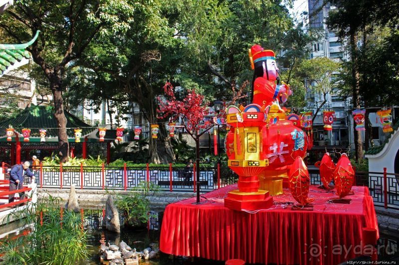 Когда в Гонконге все спокойно. Уютный парк среди небоскребов