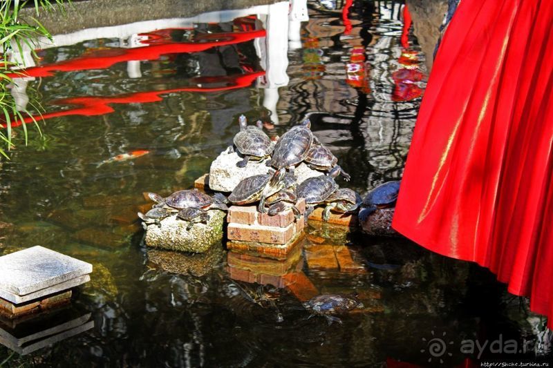 Когда в Гонконге все спокойно. Уютный парк среди небоскребов