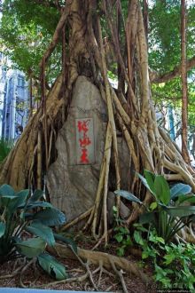 Когда в Гонконге все спокойно. Уютный парк среди небоскребов