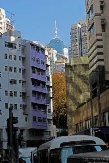 Когда в Гонконге все спокойно. Уютный парк среди небоскребов