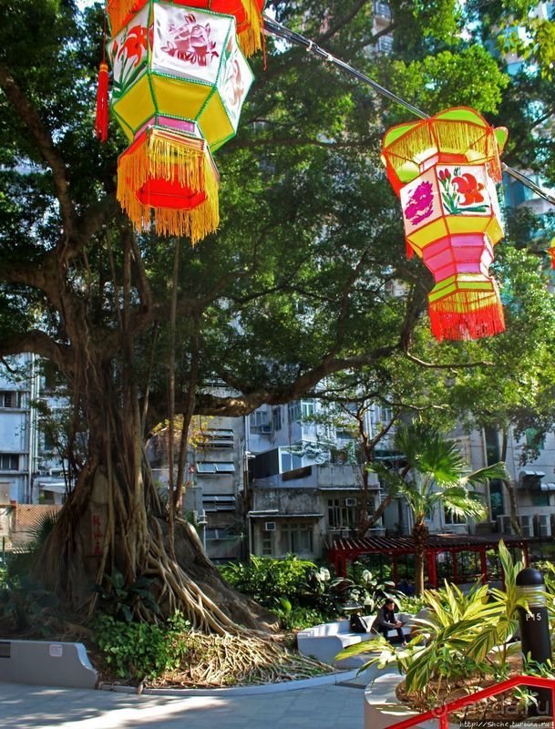 Когда в Гонконге все спокойно. Уютный парк среди небоскребов