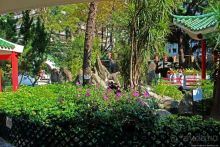 Когда в Гонконге все спокойно. Уютный парк среди небоскребов