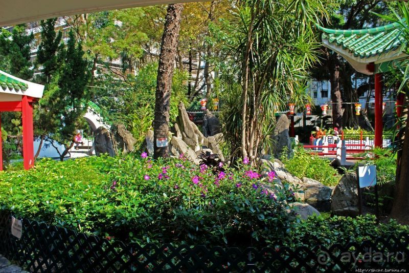 Когда в Гонконге все спокойно. Уютный парк среди небоскребов