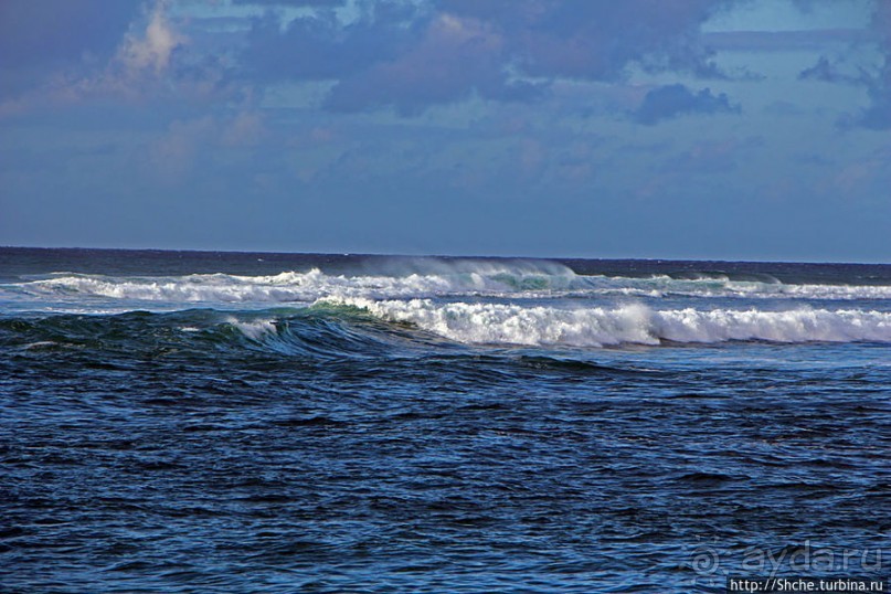 Бьют волны, а мне прикольно... Северное побережье Оаху
