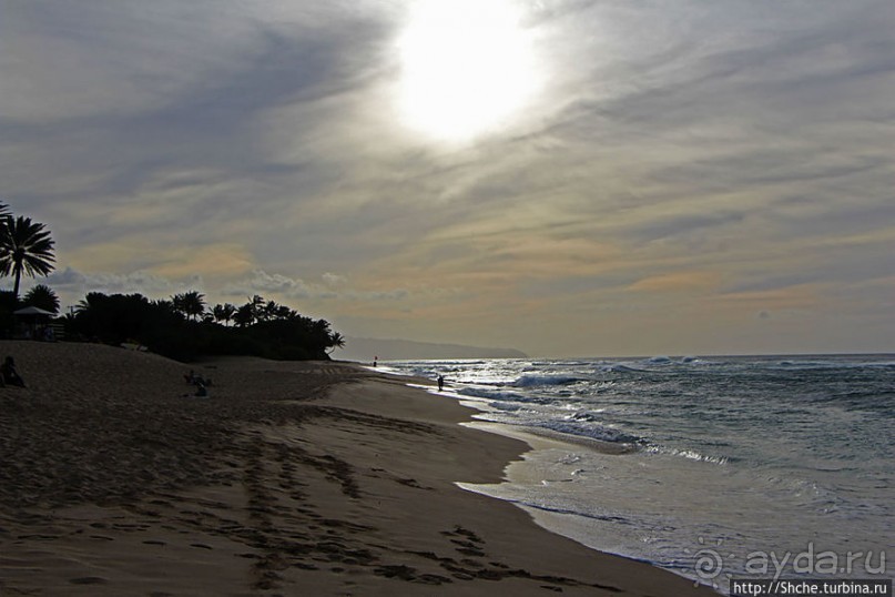 Бьют волны, а мне прикольно... Северное побережье Оаху