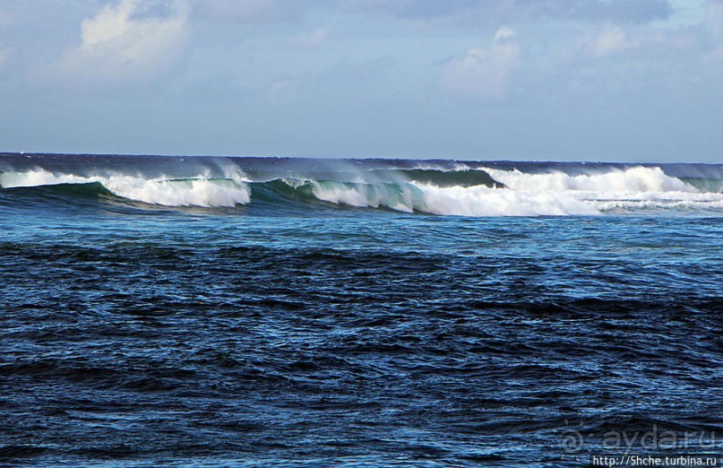 Бьют волны, а мне прикольно... Северное побережье Оаху