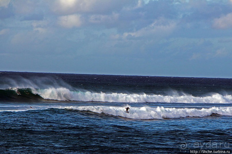 Бьют волны, а мне прикольно... Северное побережье Оаху