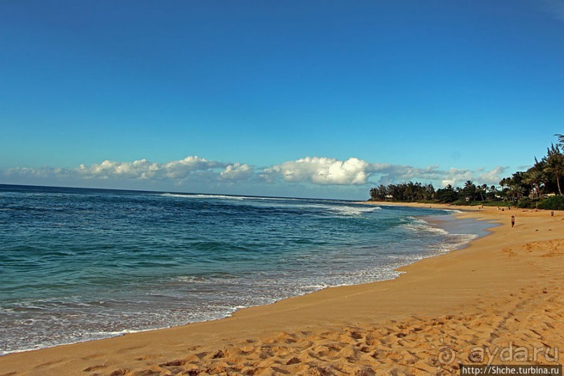 Бьют волны, а мне прикольно... Северное побережье Оаху
