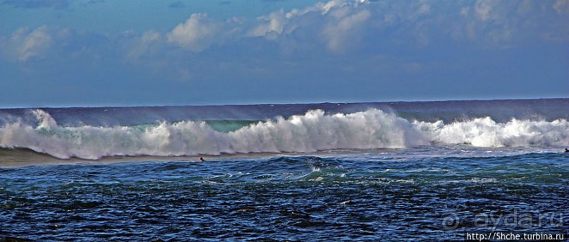 Бьют волны, а мне прикольно... Северное побережье Оаху