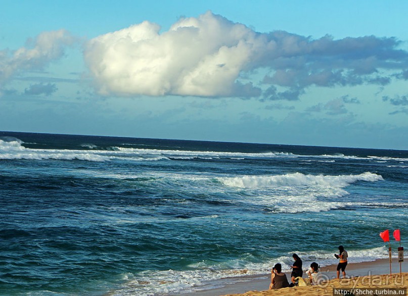 Бьют волны, а мне прикольно... Северное побережье Оаху