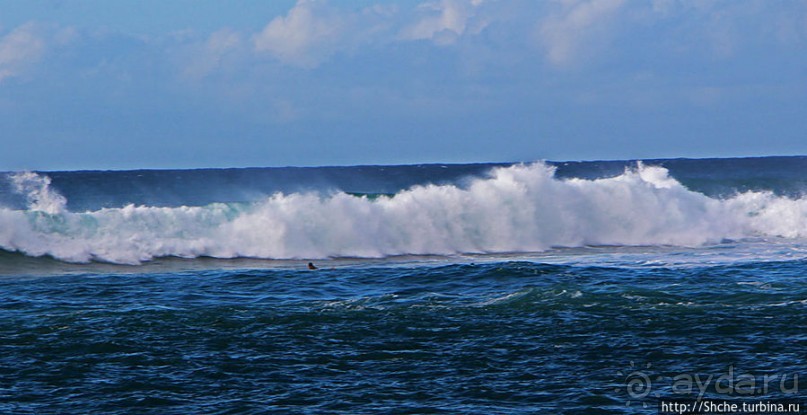 Бьют волны, а мне прикольно... Северное побережье Оаху