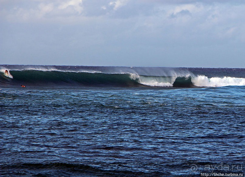 Бьют волны, а мне прикольно... Северное побережье Оаху