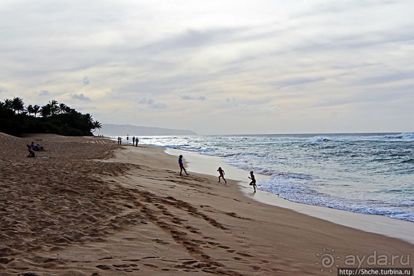 Бьют волны, а мне прикольно... Северное побережье Оаху
