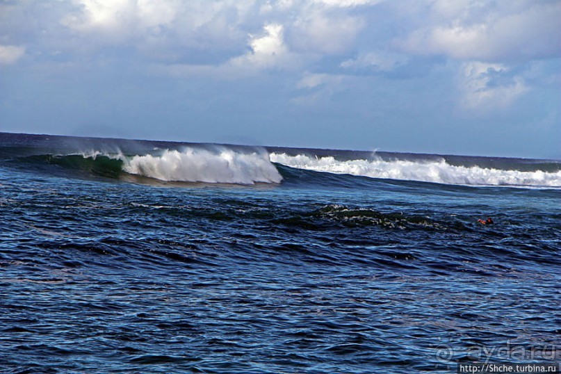 Бьют волны, а мне прикольно... Северное побережье Оаху